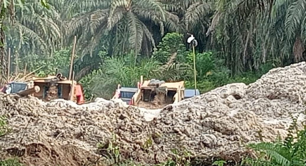 PETI Merajalela di Petai: Diduga Ada 'Kekuatan Besar' di Belakang Ujang Utiah