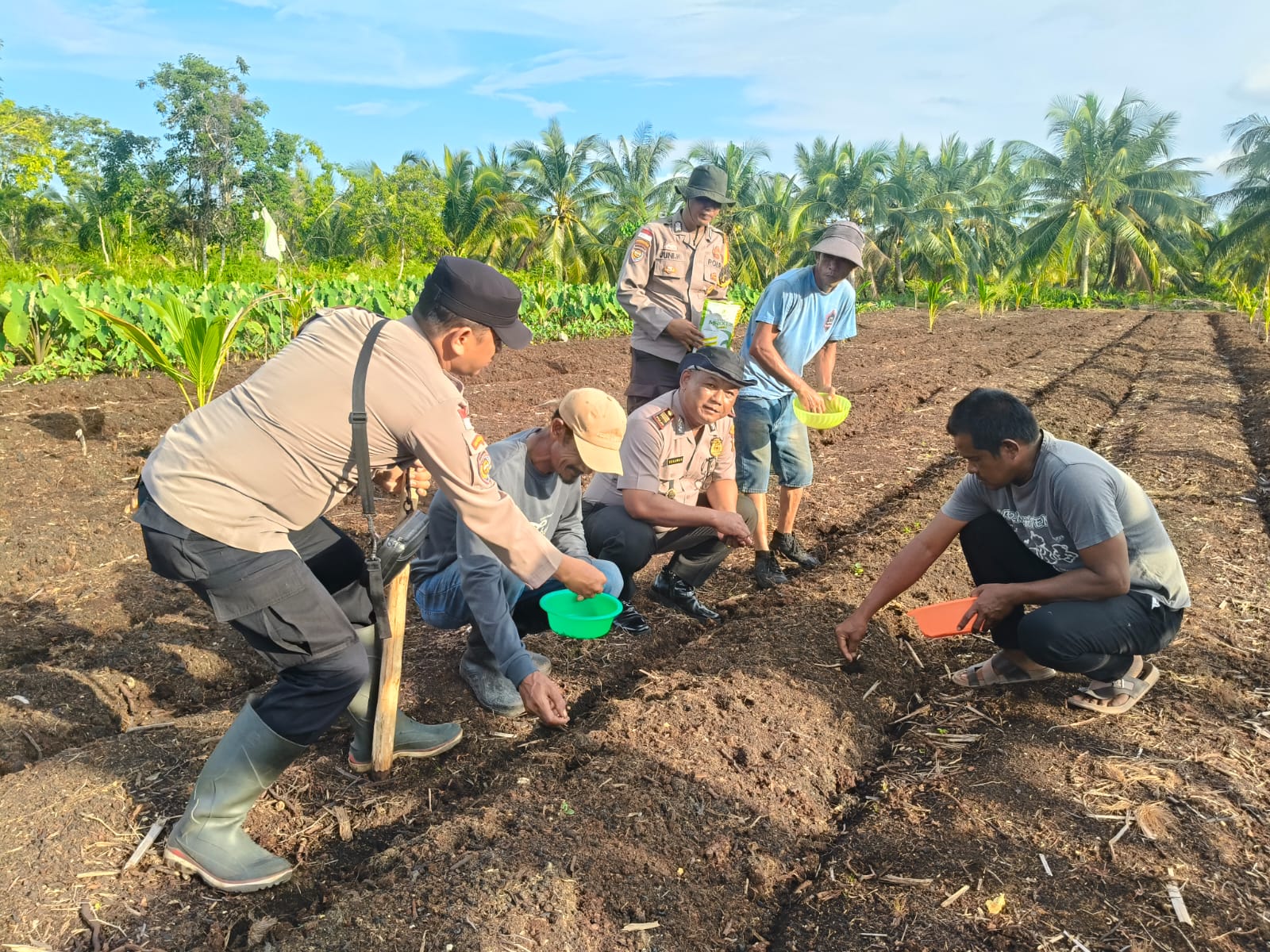 Laksanakan Penanaman Jagung Pipil  Polsek Rangsang Dukung Ketahanan Pangan Nasional