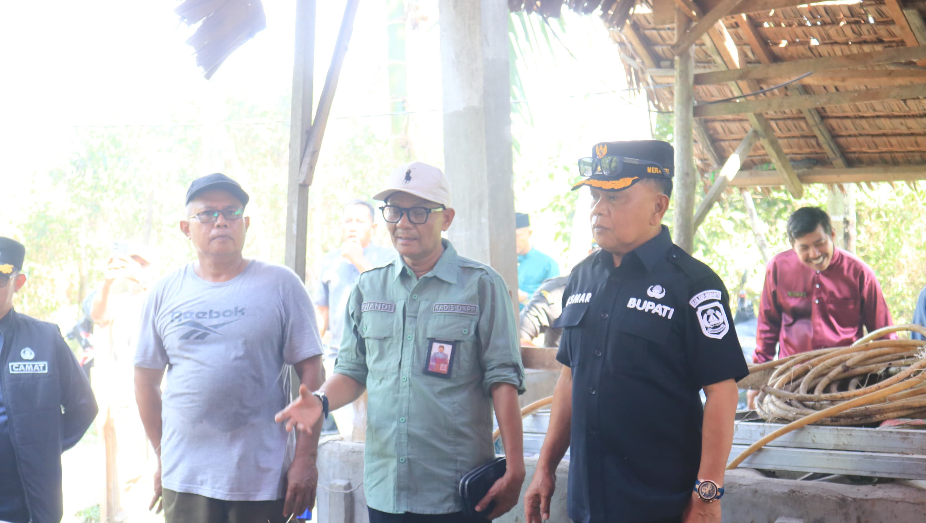 Sapi Qurban Bantuan Presiden RI untuk Warga Kepulauan Meranti Langsung Di Tinjau Bupati H.Asmar