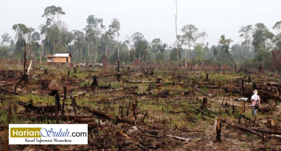 Masyarakat Melayu Dukung Tim PKH Untuk Selamatkan Kelestarian TNTN, Dusun Toro Melawan Negara?